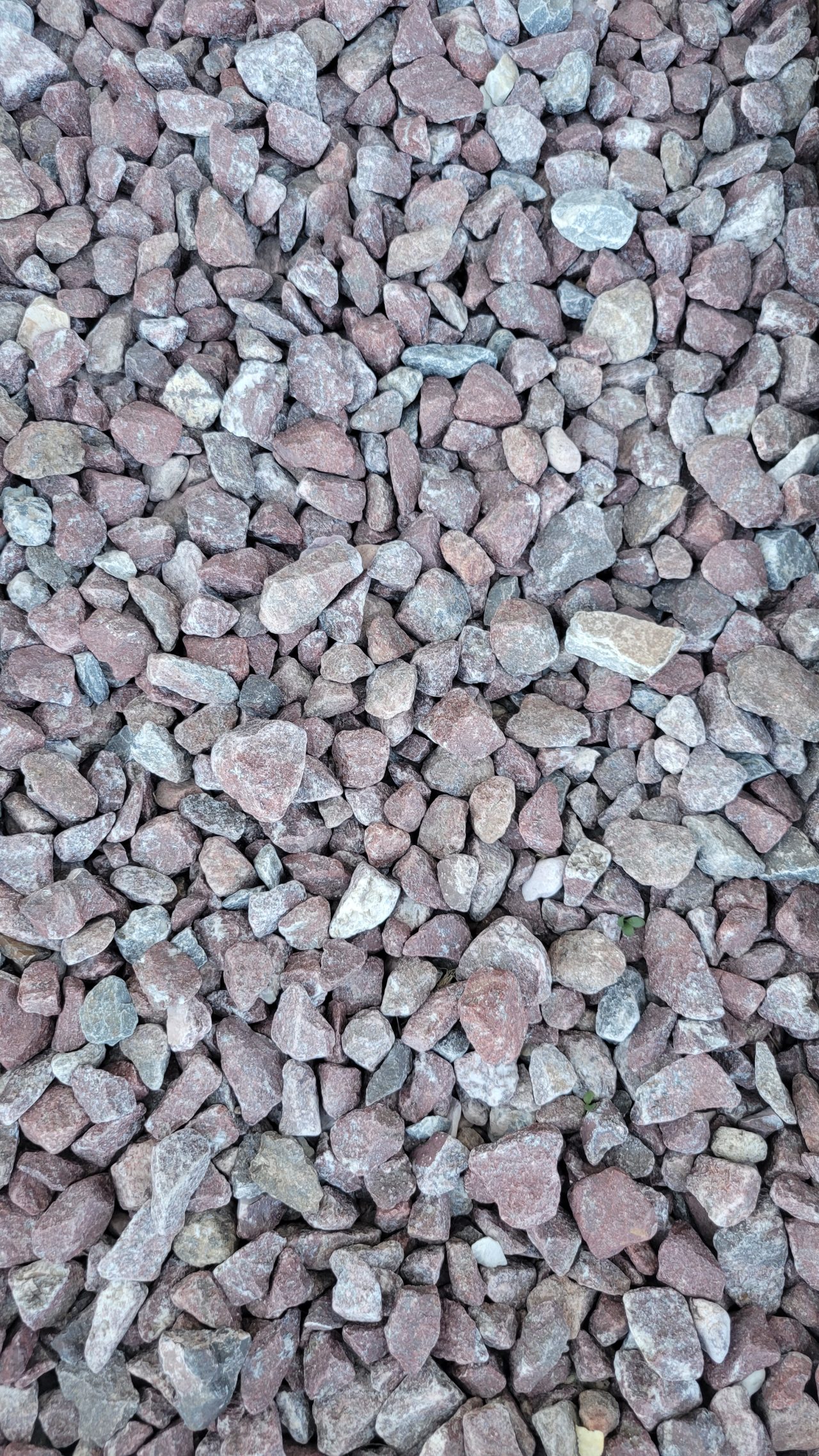 Decorative Landscape Rocks in Idaho Falls Wolverine Rock