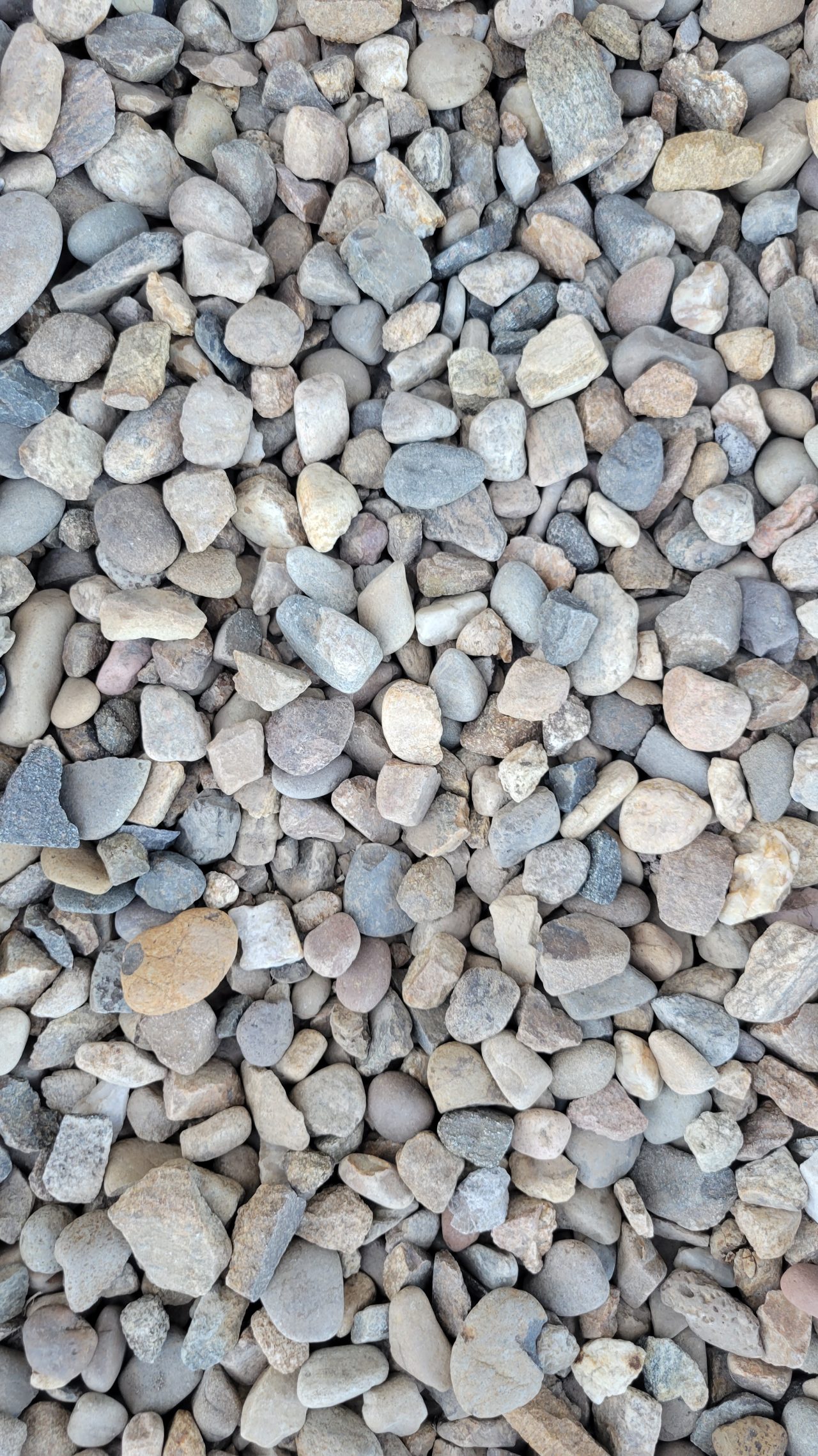 Decorative Landscape Rocks in Idaho Falls Wolverine Rock